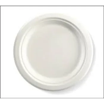 bagasse-disposable-plate23-6250969-62966.webp