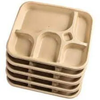 disposable-compartment-plate-05-6573970-91881.webp