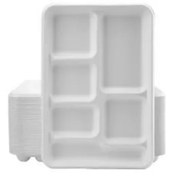 disposable-compartment-plate-4-7380143-76337.webp