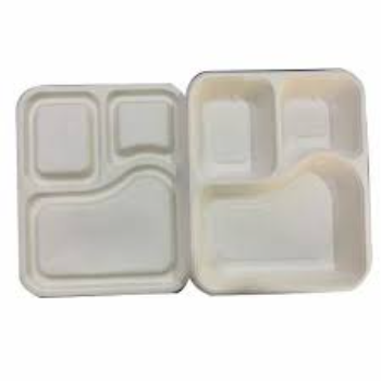 disposable-compartment-plate01-6030557-63507.webp