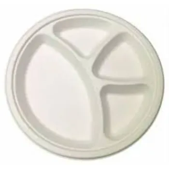 disposable-compartment-plate06-7580084-38542.webp