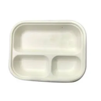 disposable-compartment-plate07-5598436-18286.webp