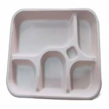 disposable-compartment-plate4-4300271-98684.webp