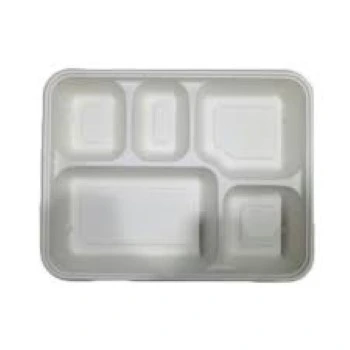 disposable-compartment-plate5-4865830-95325.webp