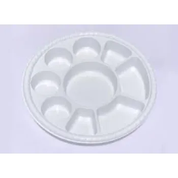 disposable-compartment-plates20-3682797-65313.webp