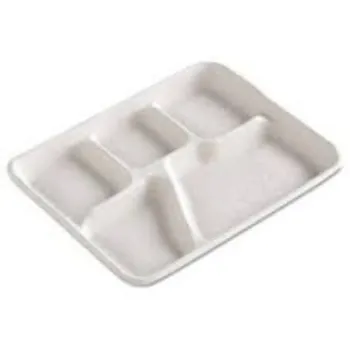 disposable-compartment-plates22-4041750-93444.webp