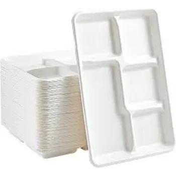 disposable-compartment-plates23-2373697-55036.webp