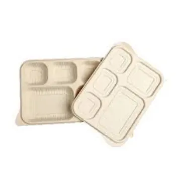 disposable-compartment-plates24-5706890-89789.webp