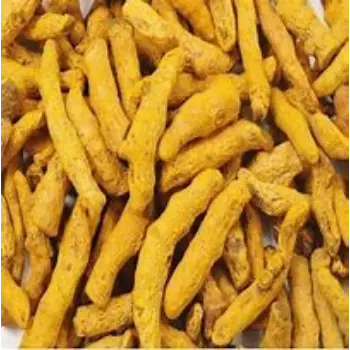 turmeric-finger-1-5967500-36775.webp