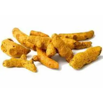 turmeric-finger-10-6606054-34035.webp