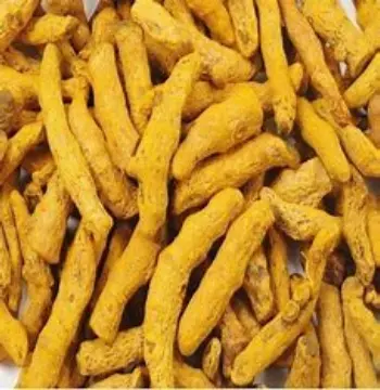 turmeric-finger10-7990153-33139.webp