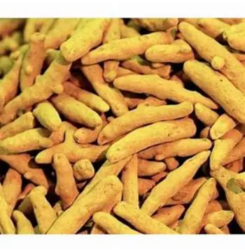 turmeric-finger16-2056985-77787.webp